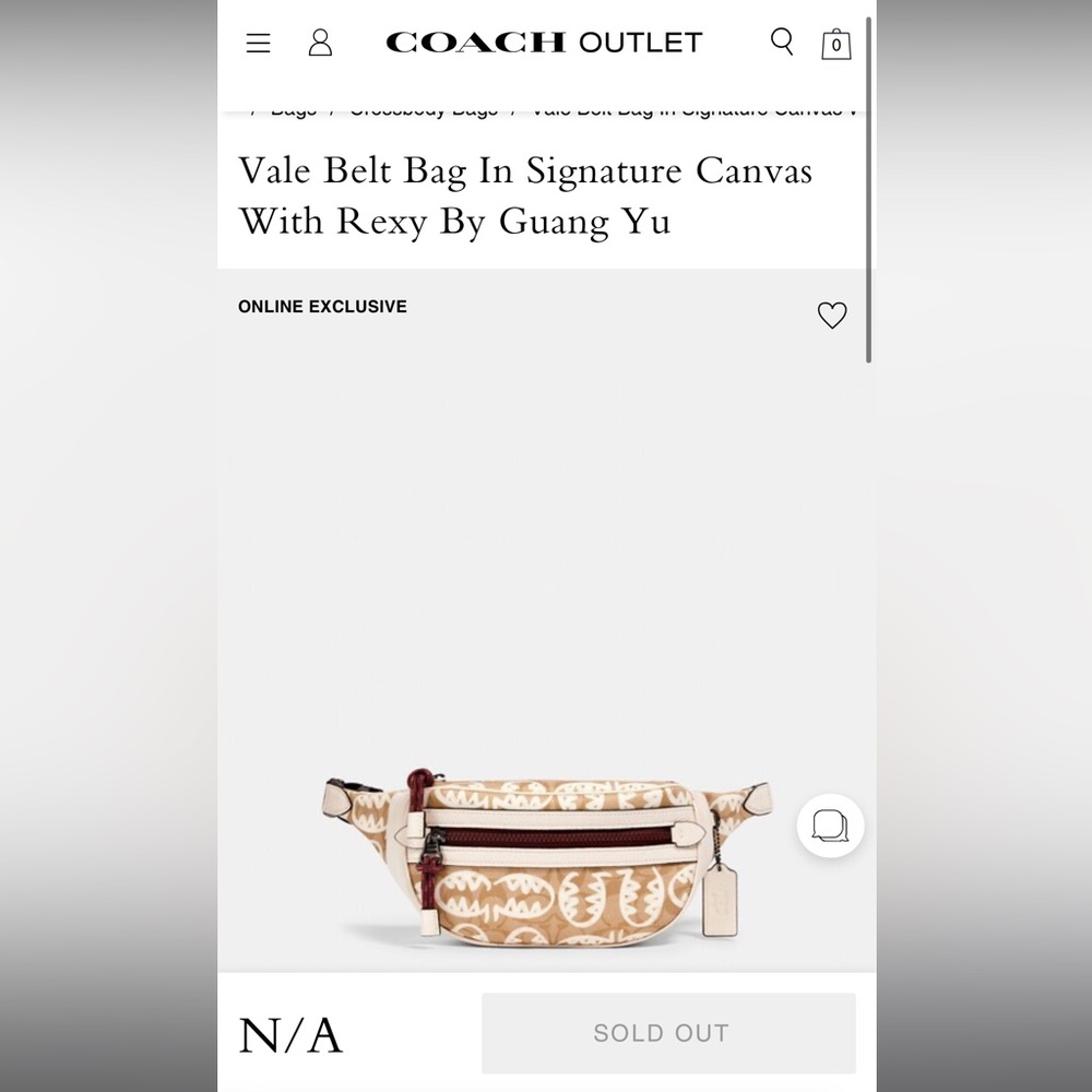 Vale Belt Bag Coach by Guang Yu